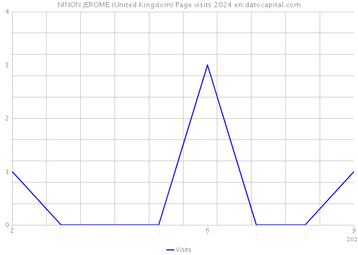 NINON JEROME (United Kingdom) Page visits 2024 