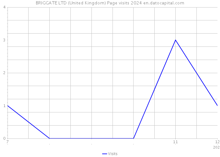 BRIGGATE LTD (United Kingdom) Page visits 2024 