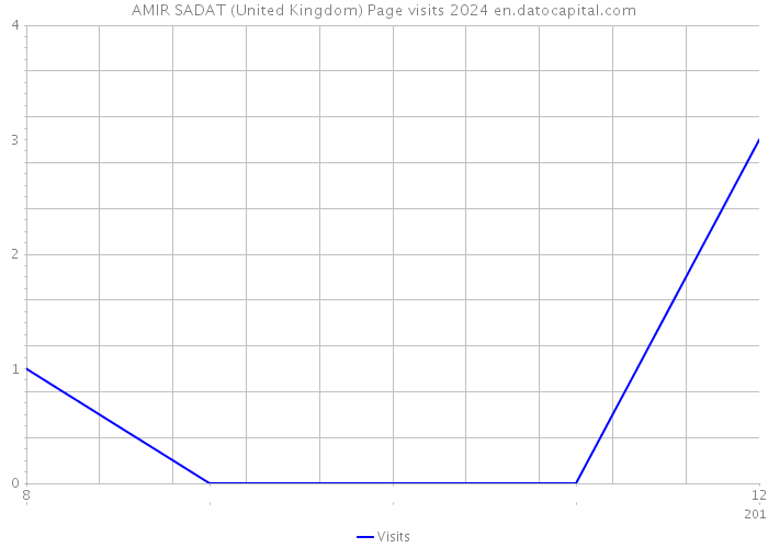 AMIR SADAT (United Kingdom) Page visits 2024 
