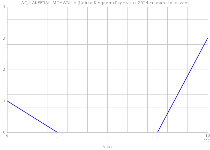 AQIL AKBERALI MOAWALLA (United Kingdom) Page visits 2024 