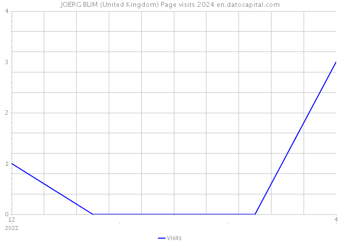 JOERG BLIM (United Kingdom) Page visits 2024 