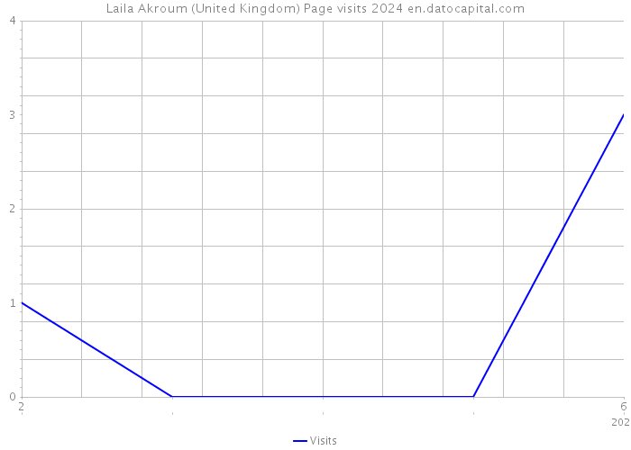 Laila Akroum (United Kingdom) Page visits 2024 