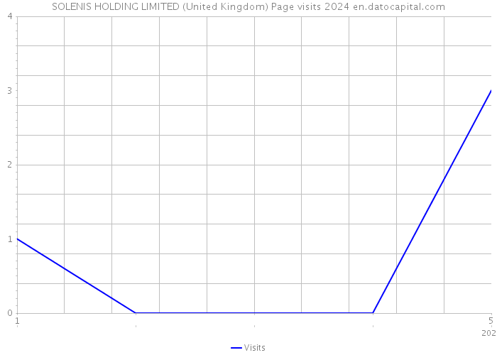 SOLENIS HOLDING LIMITED (United Kingdom) Page visits 2024 