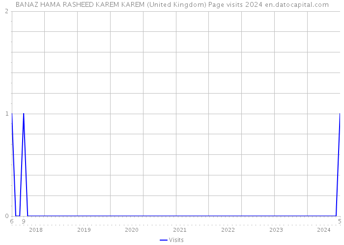 BANAZ HAMA RASHEED KAREM KAREM (United Kingdom) Page visits 2024 