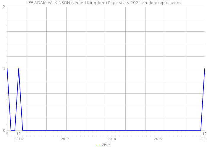 LEE ADAM WILKINSON (United Kingdom) Page visits 2024 