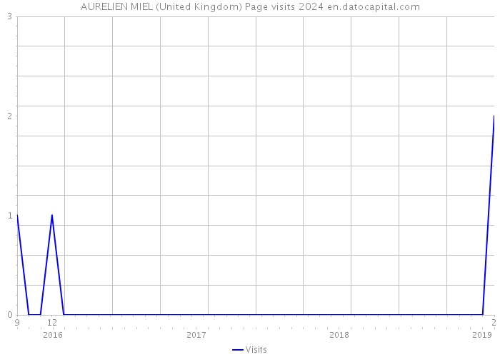 AURELIEN MIEL (United Kingdom) Page visits 2024 