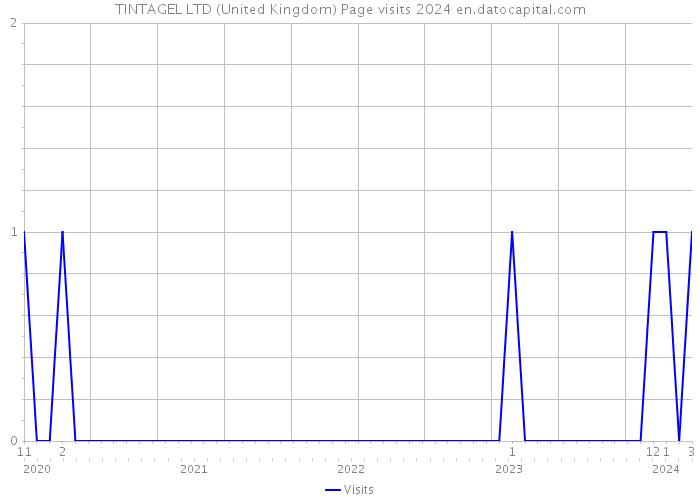TINTAGEL LTD (United Kingdom) Page visits 2024 