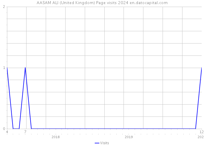 AASAM ALI (United Kingdom) Page visits 2024 