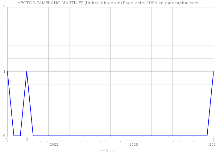 HECTOR ZAMBRANO MARTINEZ (United Kingdom) Page visits 2024 