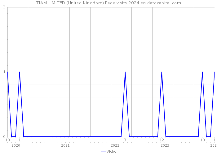 TIAM LIMITED (United Kingdom) Page visits 2024 