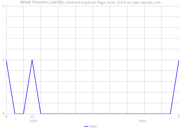 BRINE TRAINING LIMITED (United Kingdom) Page visits 2024 