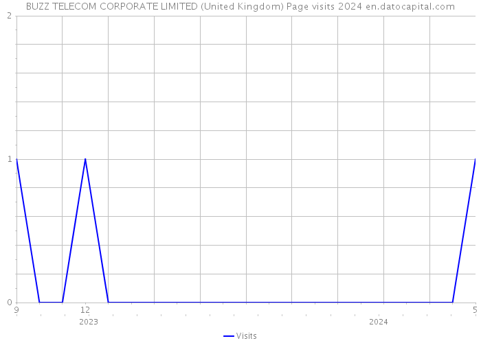 BUZZ TELECOM CORPORATE LIMITED (United Kingdom) Page visits 2024 