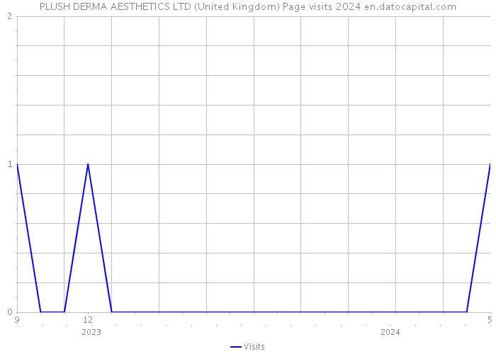 PLUSH DERMA AESTHETICS LTD (United Kingdom) Page visits 2024 