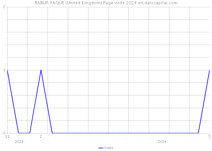 BABUR YAQUE (United Kingdom) Page visits 2024 