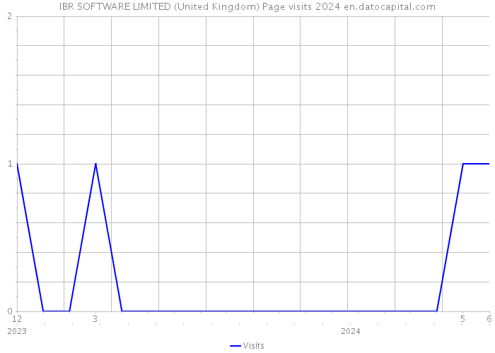 IBR SOFTWARE LIMITED (United Kingdom) Page visits 2024 