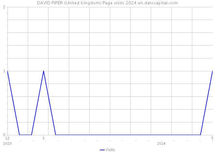 DAVID PIPER (United Kingdom) Page visits 2024 