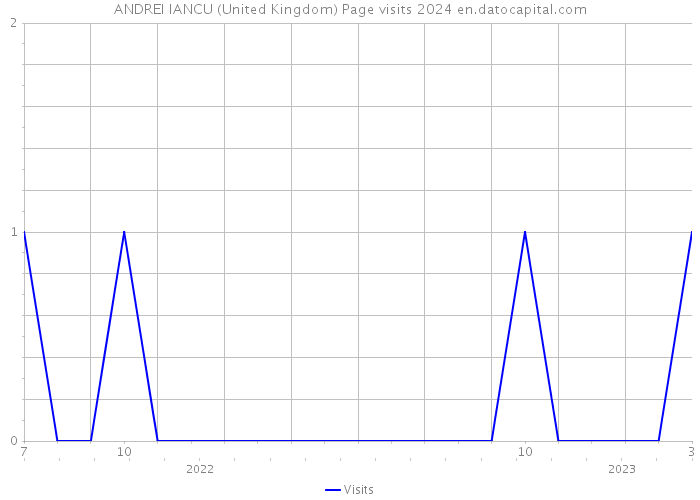 ANDREI IANCU (United Kingdom) Page visits 2024 
