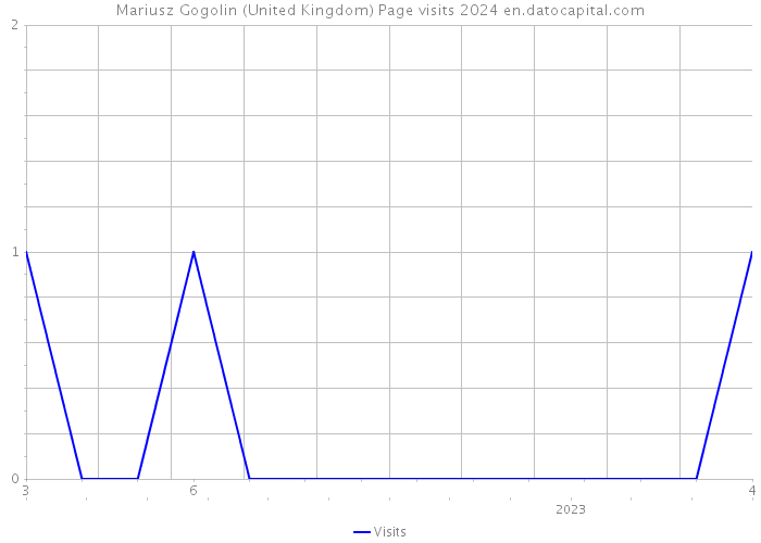 Mariusz Gogolin (United Kingdom) Page visits 2024 