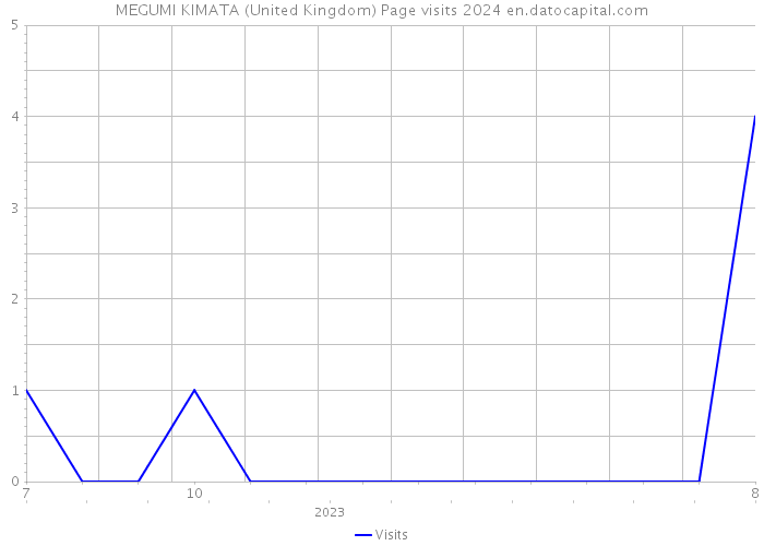 MEGUMI KIMATA (United Kingdom) Page visits 2024 
