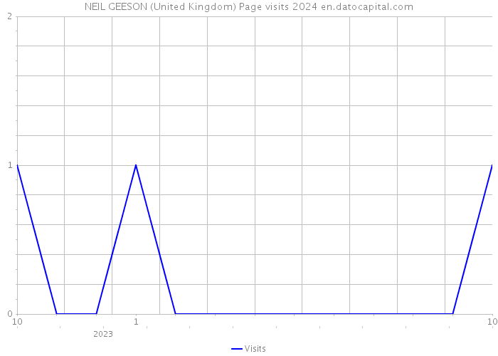 NEIL GEESON (United Kingdom) Page visits 2024 