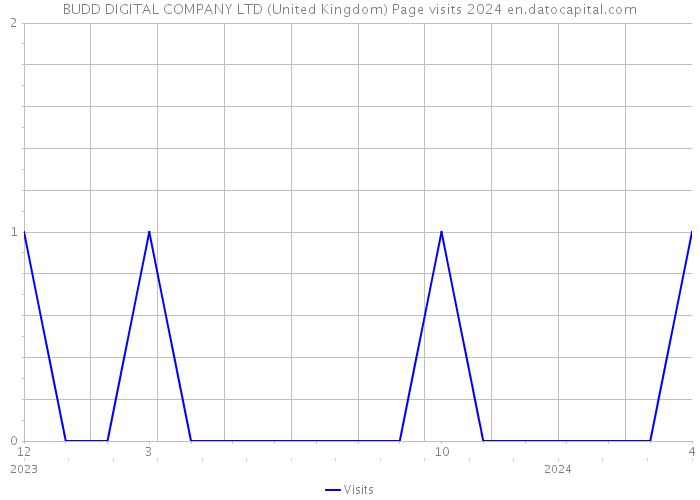 BUDD DIGITAL COMPANY LTD (United Kingdom) Page visits 2024 