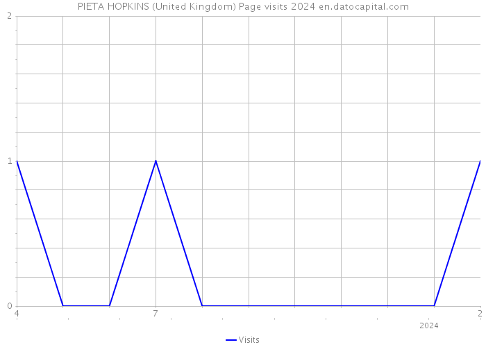 PIETA HOPKINS (United Kingdom) Page visits 2024 