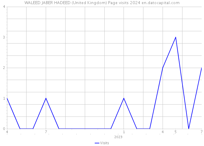 WALEED JABER HADEED (United Kingdom) Page visits 2024 