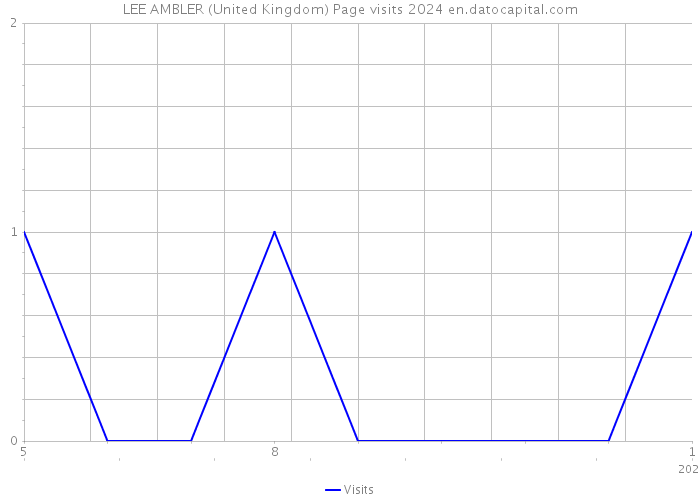 LEE AMBLER (United Kingdom) Page visits 2024 