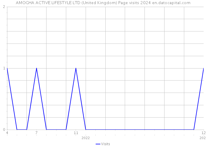 AMOGHA ACTIVE LIFESTYLE LTD (United Kingdom) Page visits 2024 