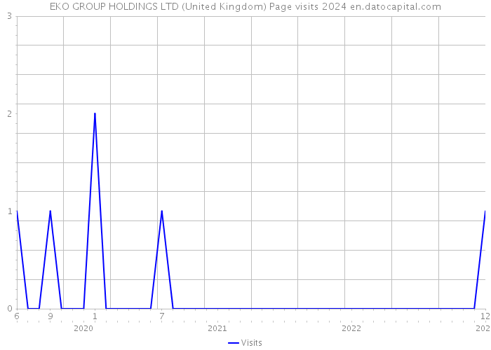 EKO GROUP HOLDINGS LTD (United Kingdom) Page visits 2024 