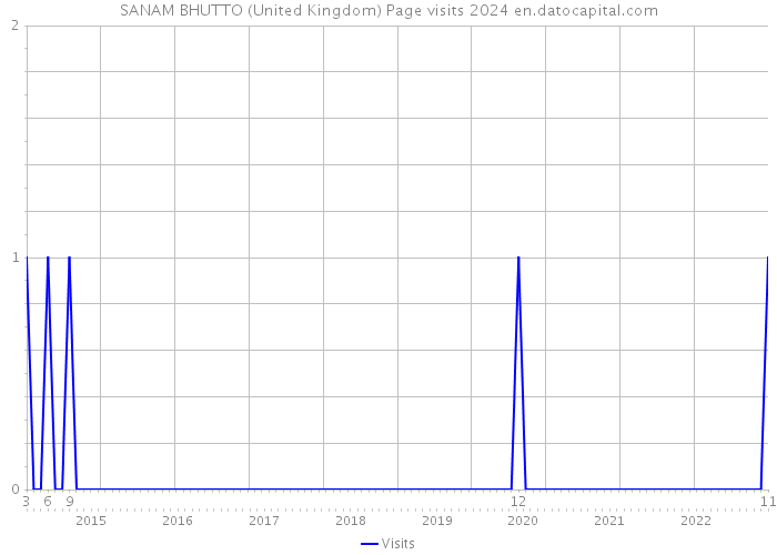 SANAM BHUTTO (United Kingdom) Page visits 2024 