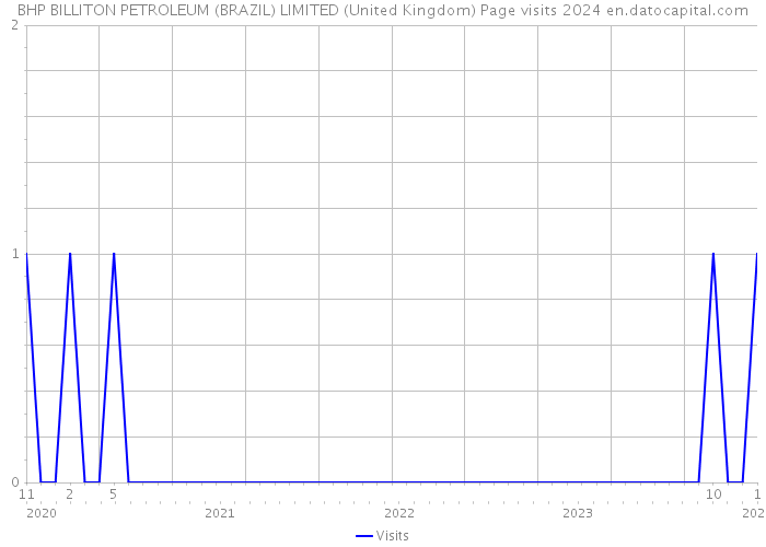 BHP BILLITON PETROLEUM (BRAZIL) LIMITED (United Kingdom) Page visits 2024 