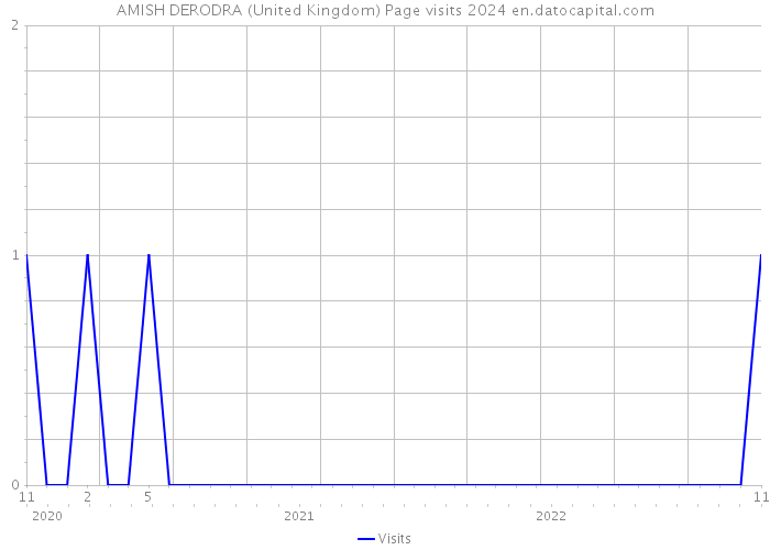 AMISH DERODRA (United Kingdom) Page visits 2024 