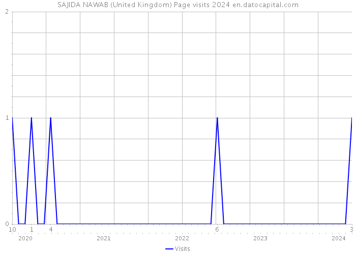 SAJIDA NAWAB (United Kingdom) Page visits 2024 