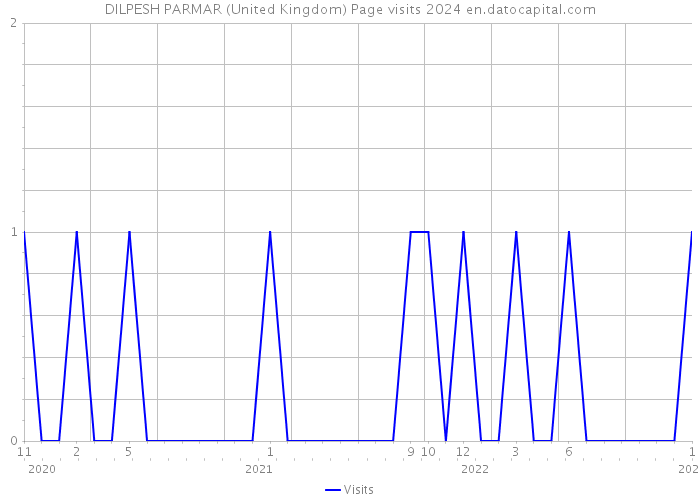 DILPESH PARMAR (United Kingdom) Page visits 2024 