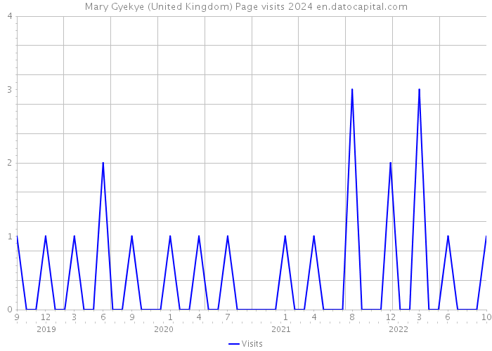 Mary Gyekye (United Kingdom) Page visits 2024 