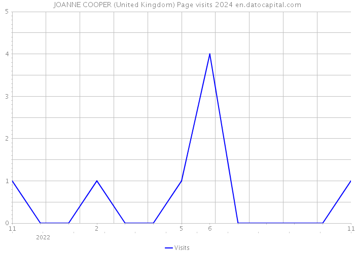 JOANNE COOPER (United Kingdom) Page visits 2024 