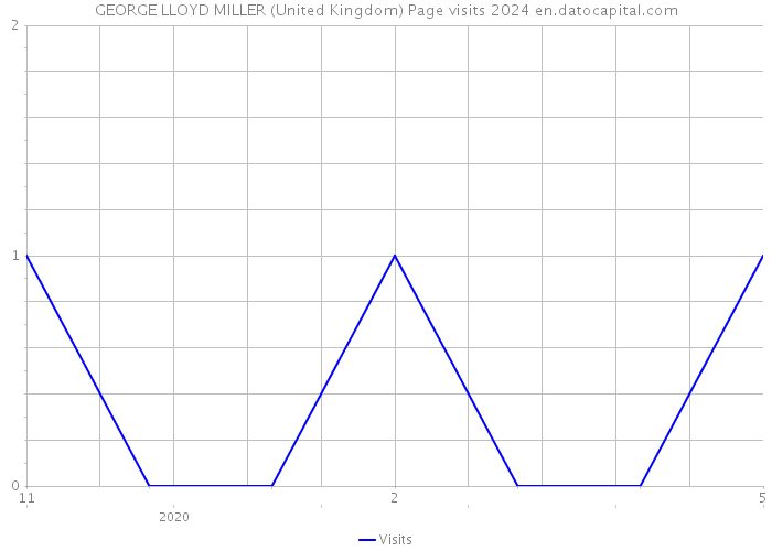 GEORGE LLOYD MILLER (United Kingdom) Page visits 2024 