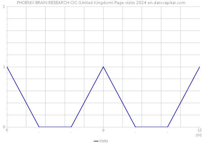PHOENIX BRAIN RESEARCH CIC (United Kingdom) Page visits 2024 