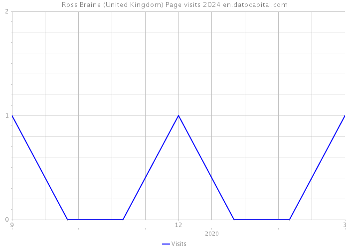 Ross Braine (United Kingdom) Page visits 2024 