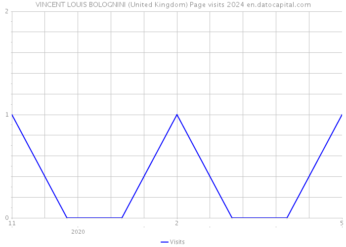 VINCENT LOUIS BOLOGNINI (United Kingdom) Page visits 2024 