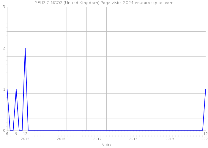 YELIZ CINGOZ (United Kingdom) Page visits 2024 