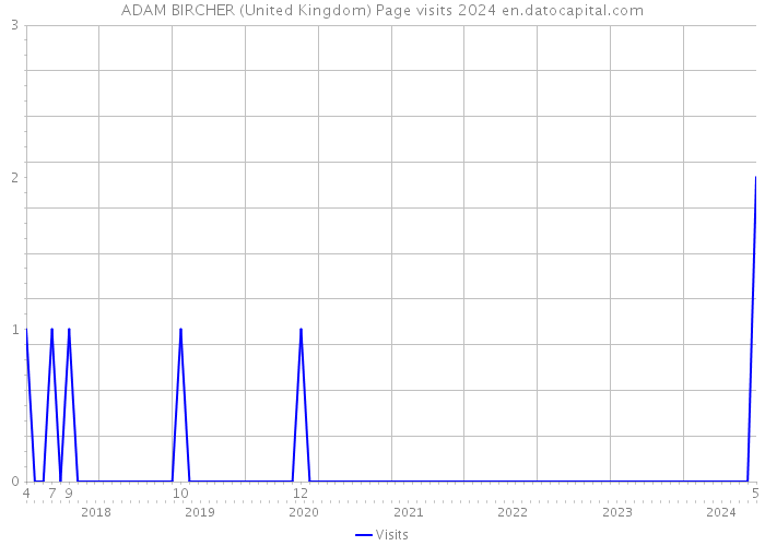 ADAM BIRCHER (United Kingdom) Page visits 2024 