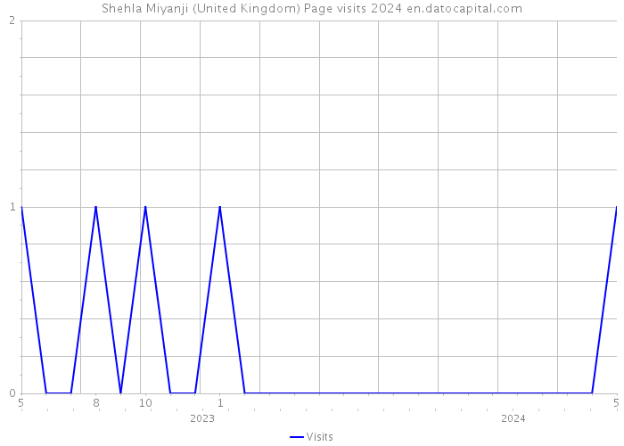 Shehla Miyanji (United Kingdom) Page visits 2024 