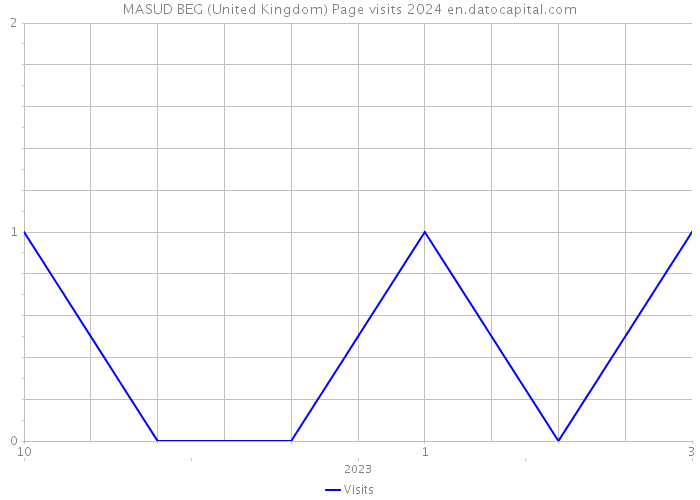 MASUD BEG (United Kingdom) Page visits 2024 
