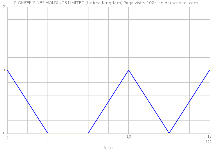 PIONEER SINES HOLDINGS LIMITED (United Kingdom) Page visits 2024 