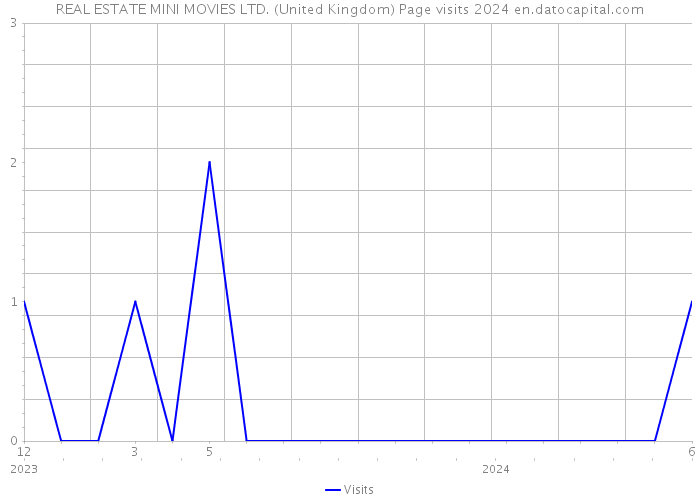 REAL ESTATE MINI MOVIES LTD. (United Kingdom) Page visits 2024 