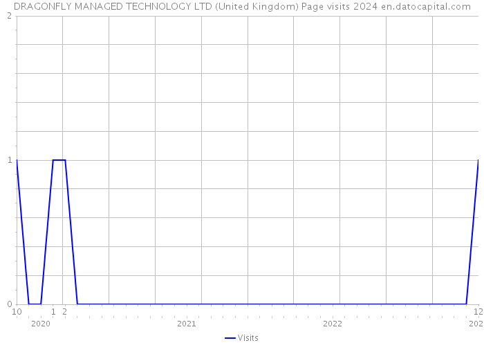DRAGONFLY MANAGED TECHNOLOGY LTD (United Kingdom) Page visits 2024 
