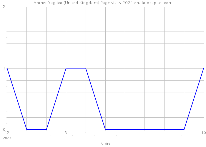Ahmet Yaglica (United Kingdom) Page visits 2024 