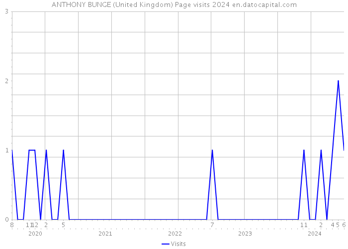 ANTHONY BUNGE (United Kingdom) Page visits 2024 